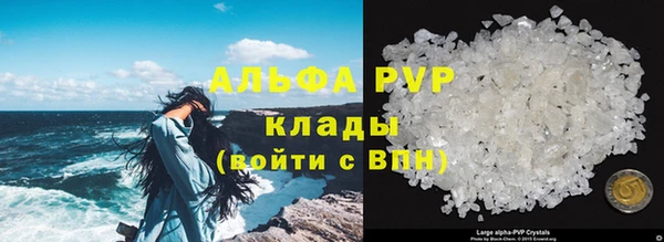 стафф Козельск