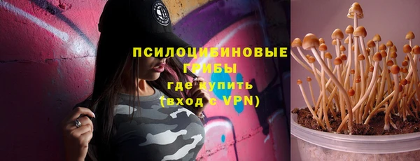 стафф Козельск