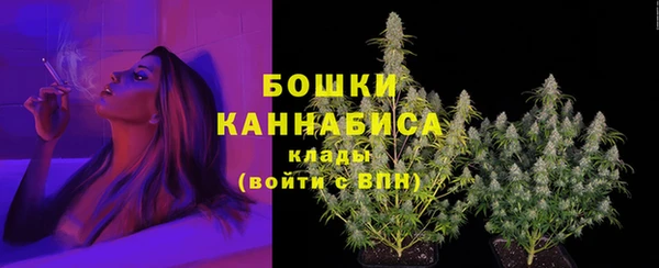 стафф Козельск