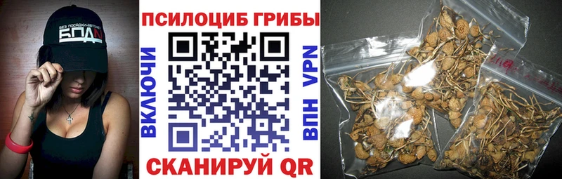 Псилоцибиновые грибы мухоморы  Купить где  Оханск 